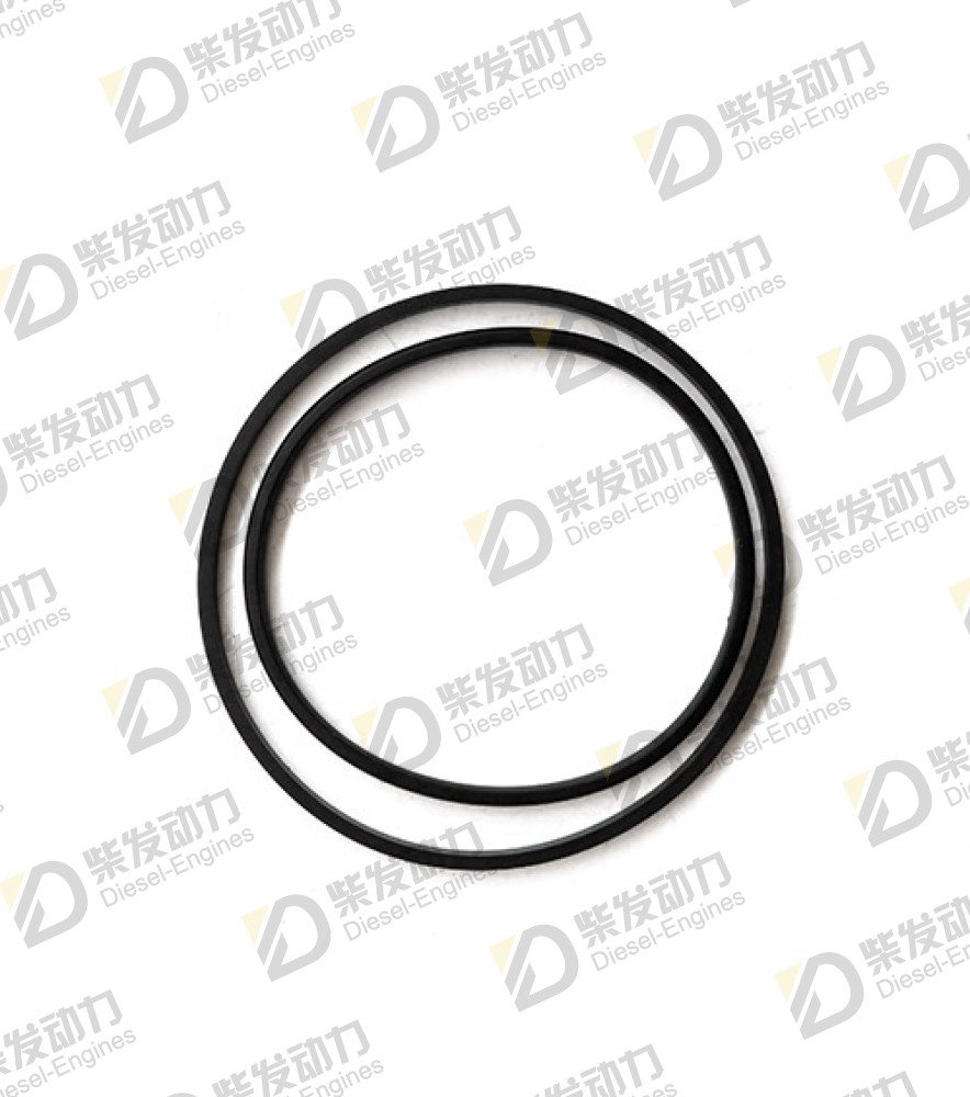 Sealing ring 1544410 